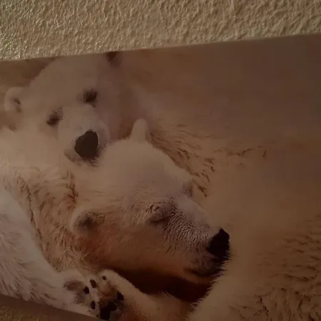 Rez De Jardin Calme St Lary Proche Telecabine * Saint-Lary-Soulan