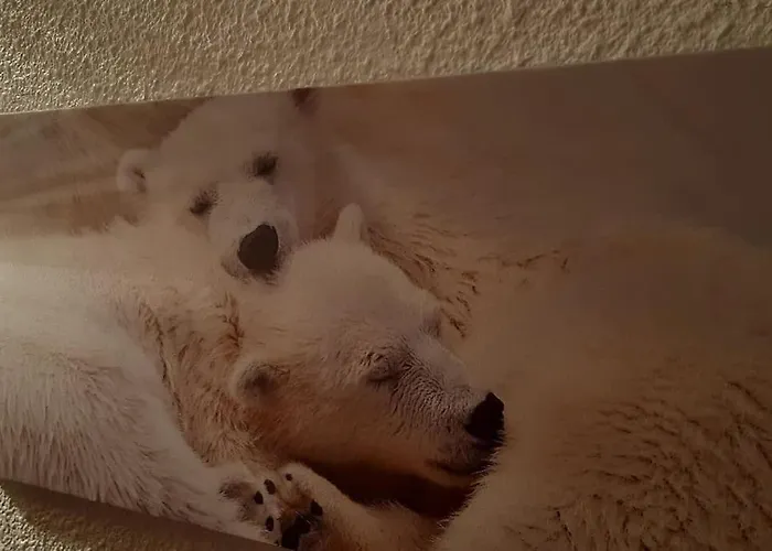 Rez De Jardin Calme St Lary Proche Telecabine * サン・ラリー・スラン